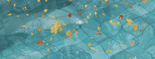 Pool cleaning: Why it's so important