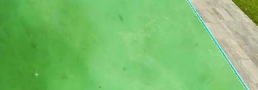 Pool cleaning: Why it's so important - image 1